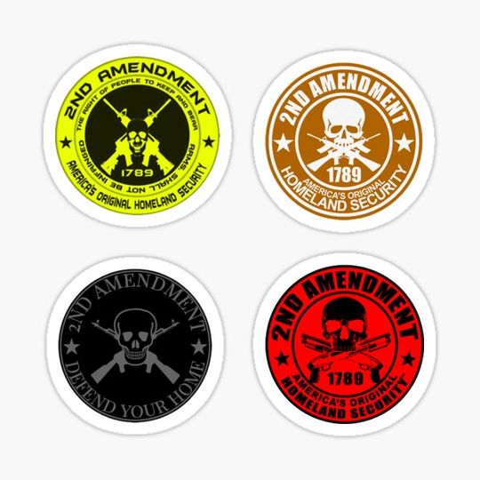 Discover 2nd Amendment Sticker sheet