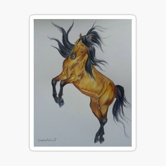 Discover Bucksin rearing horse illustration