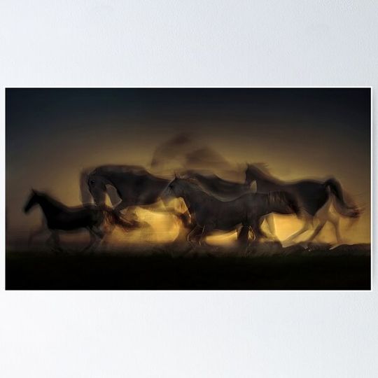 Discover Horse