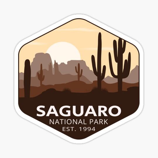 Discover Saguaro National Park