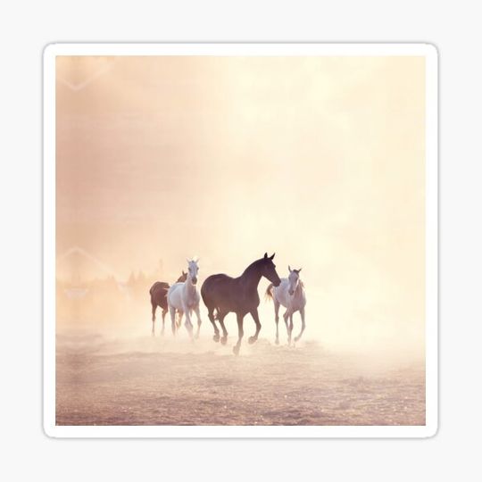 Discover Horses on Dusty Plain