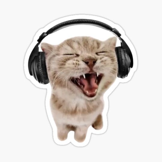 Discover cat headphone