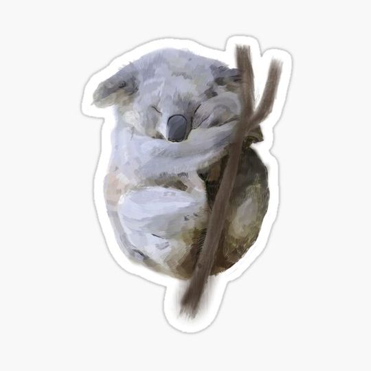 Discover Sleepy Koala