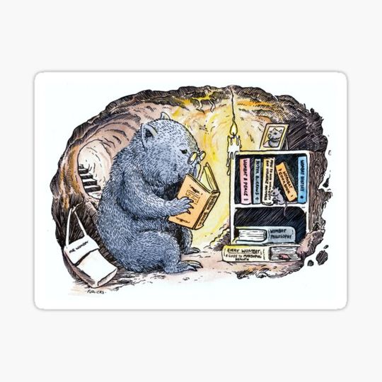 Discover Mr Wombat Reads