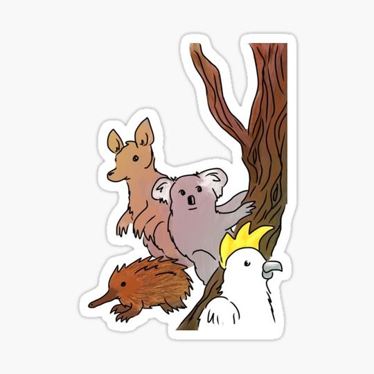 Discover Australian Animals Scene