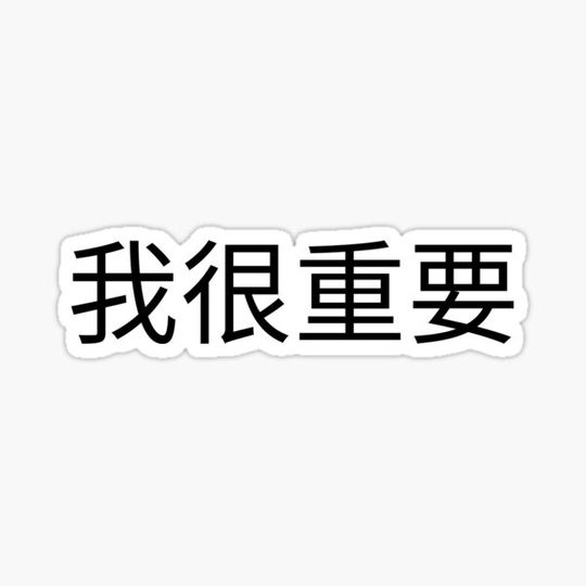 Discover I'm very important in Chinese 我很重要