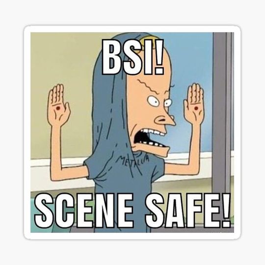 Discover Scene Safe