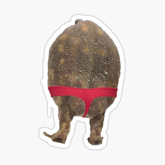 Discover Frog Butt w Undies