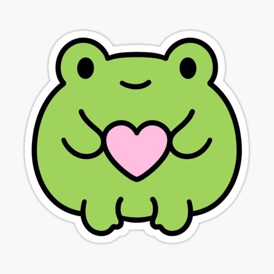 Discover cute frog