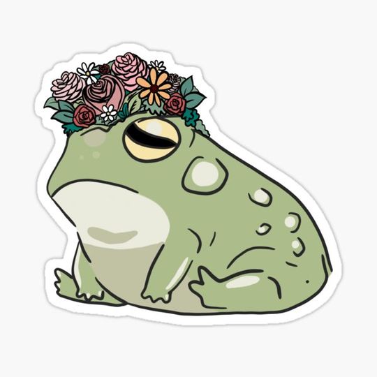 Discover Toad