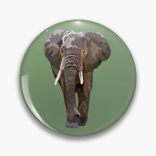 Discover A is for African Elephant