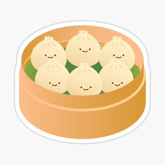 Discover Bao Dumpling Steamer