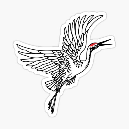 Discover Flying Crane