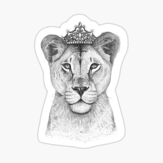 Discover The Queen
