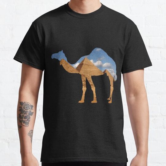 Discover Camel and pyramid
