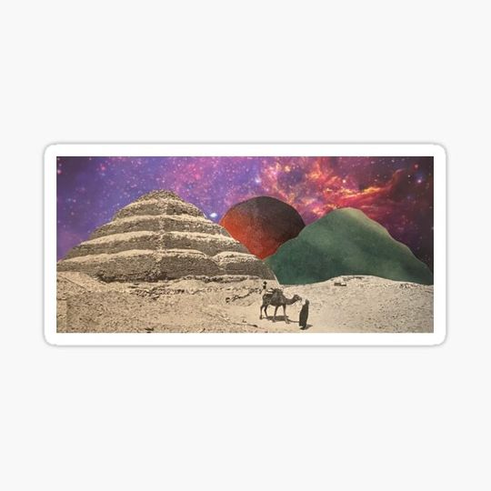 Discover Camel Buddy