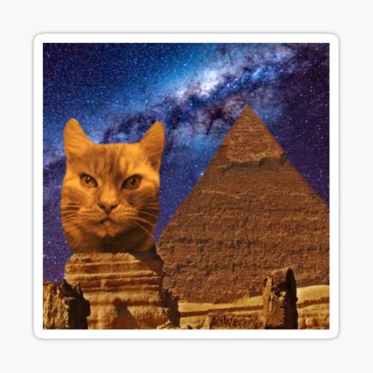New sphynx