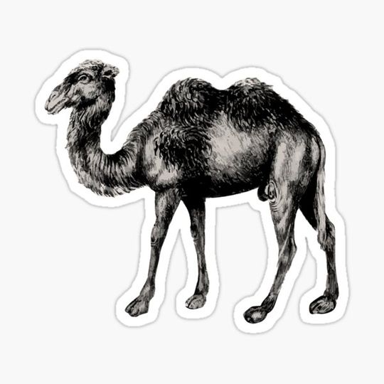 Discover Vintage Sahara Camel
