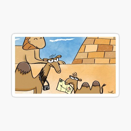 Discover Camel Family Vacation