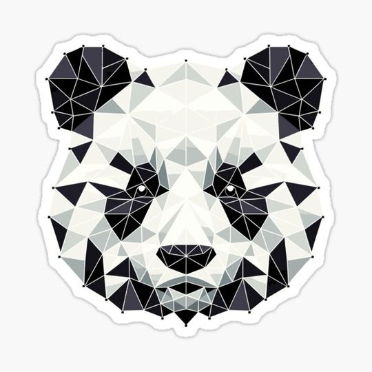 Discover panda // panda