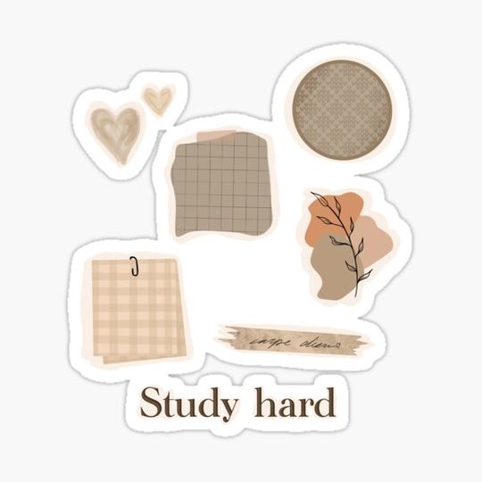 Discover study set