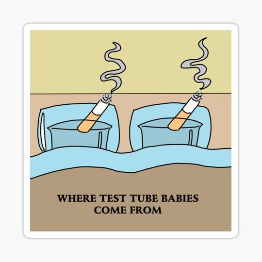 Discover Where test tube babies come from