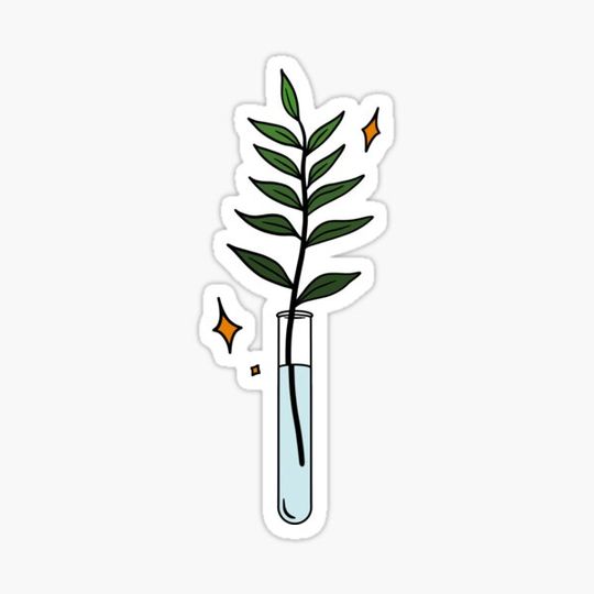 Discover Test Tube + Plant + Stars