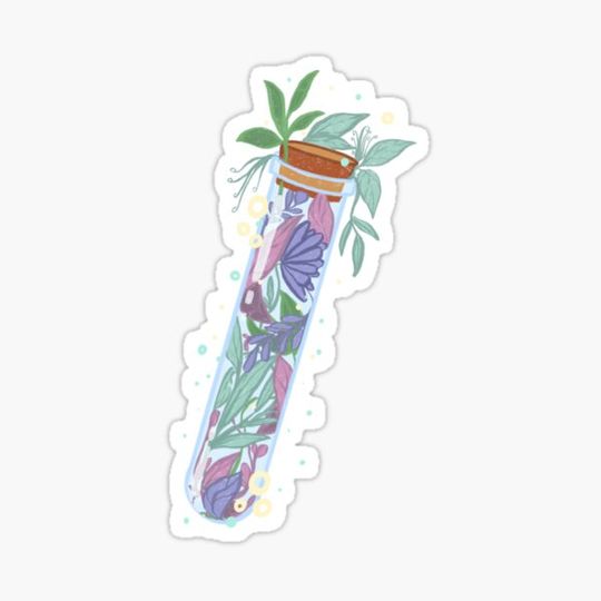 Discover flora-pothecary