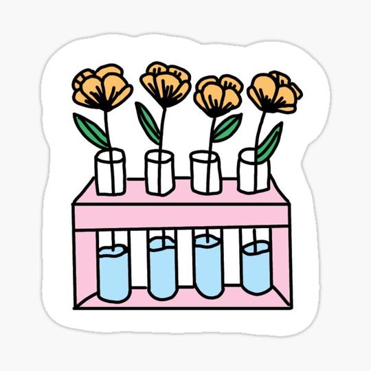 Discover Flowers in a Test Tube