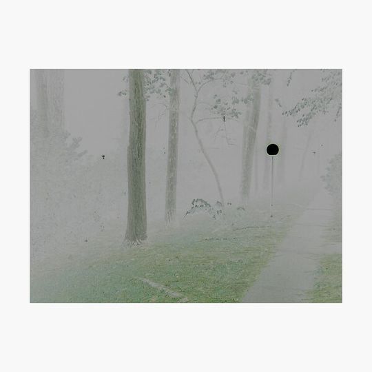Discover Experimental