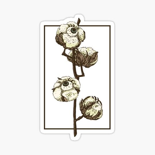 Discover Cotton Eye