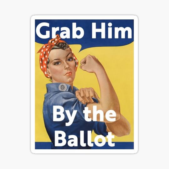 Discover Grab Him By The Ballot