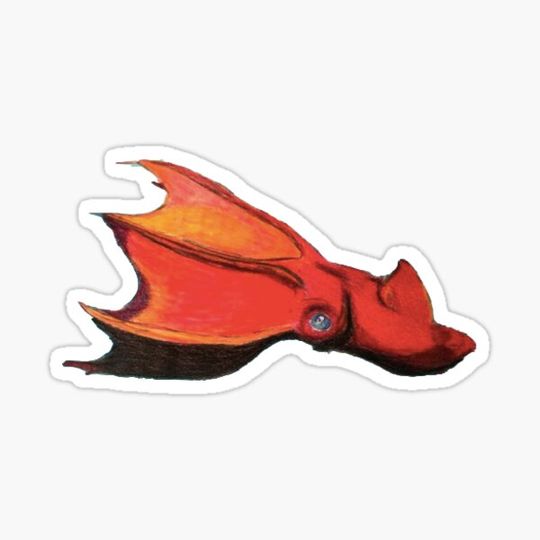 Discover Vampire Squid