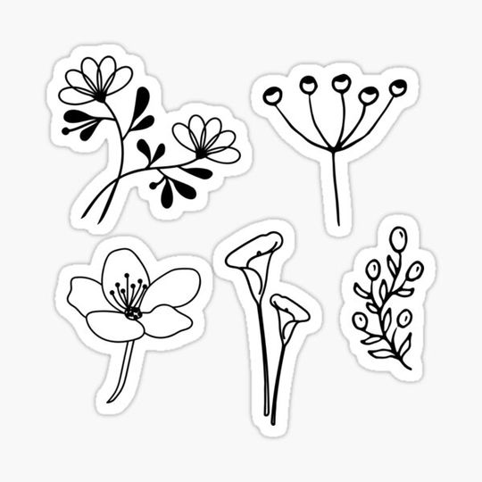 Discover Handdrawn Wildflower