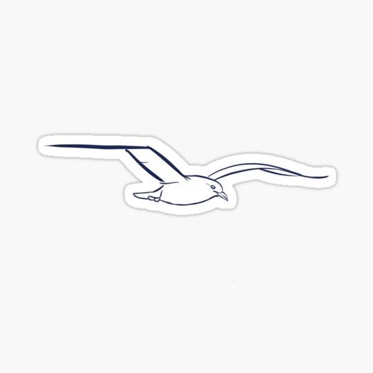 Discover Seagull