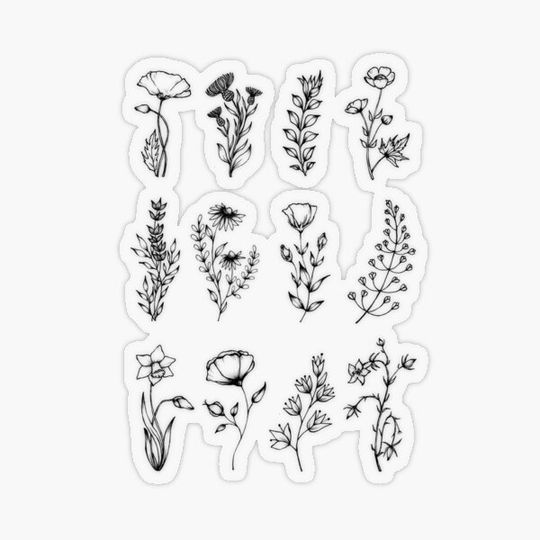 Discover Realistic hand drawn flowers