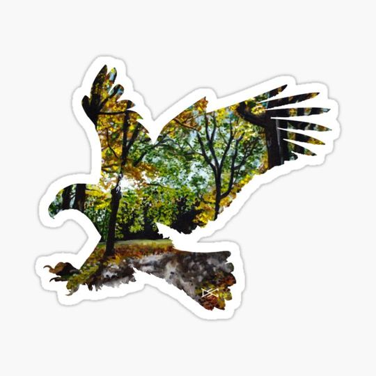 Discover Eagle Sun Through Trees Silhouette