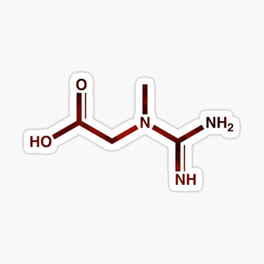 Discover Red Creatine Linear