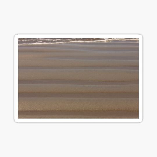 Discover Linear Functions - Nature's Contribution in Sand
