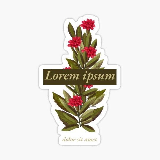Discover Lorem ipsum