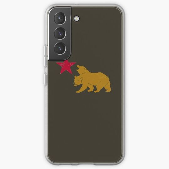 Discover NCR Bear