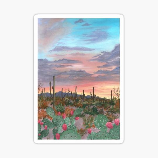 Discover Sunset in the dessert