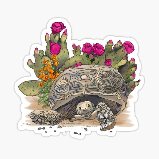 Discover Mojave Desert Tortoise with Cactus