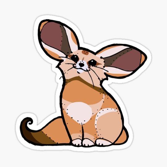 Discover Fennec Foxes