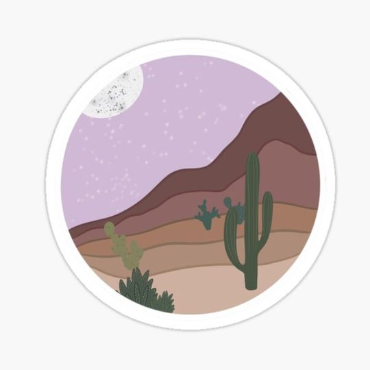 Discover Desert Night