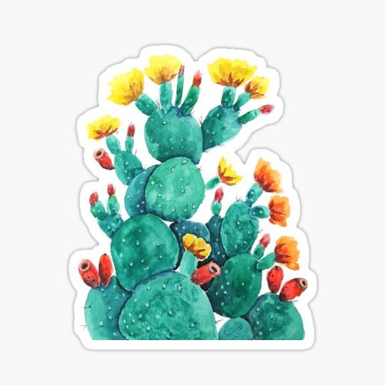 Discover hand painted flowering cactus watercolor arts