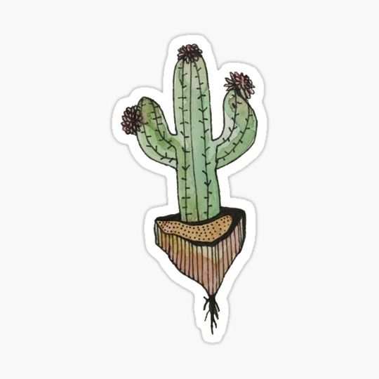 Discover desert flower watercolor