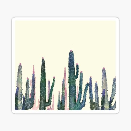 Discover Cactus Landscape