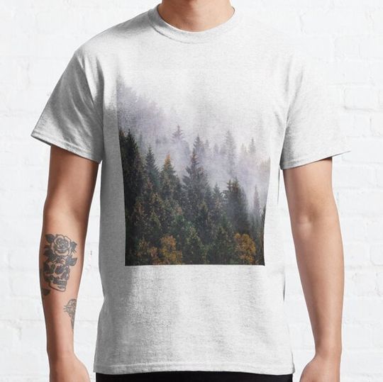 Discover The Big Calm // Misty Fairytale Wilderness Forest With Cascadia Trees Covered In Magic Light And Fog Series