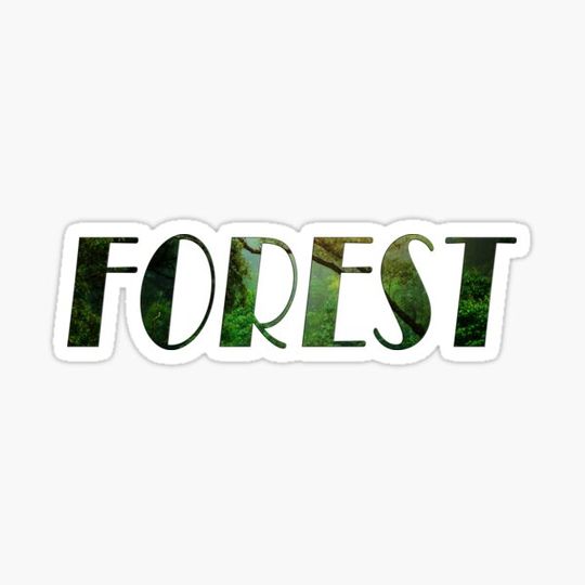 Discover Forest Classic Nature font art